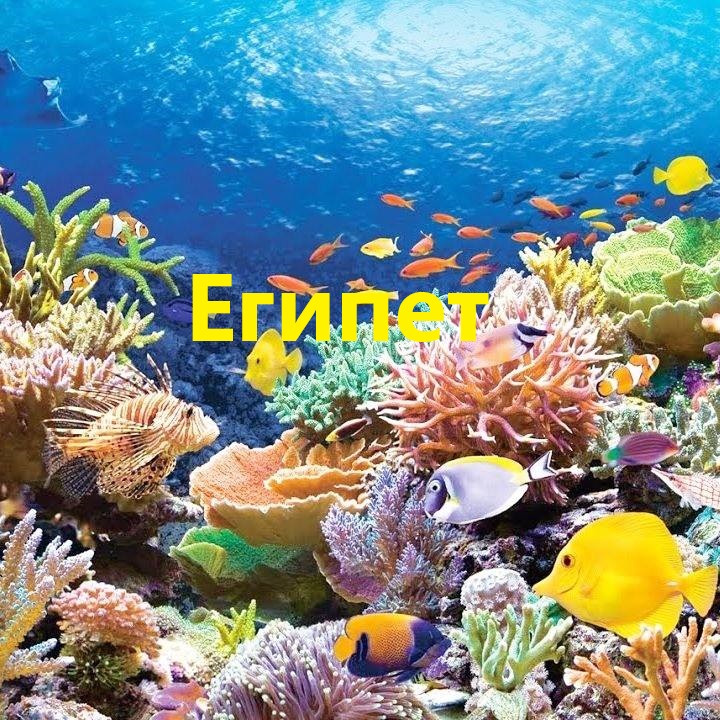 Египет купить туры, Горящие путевки Египет